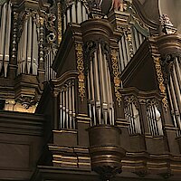 Besondere Konzerte in Frankfurts ältester Kirche