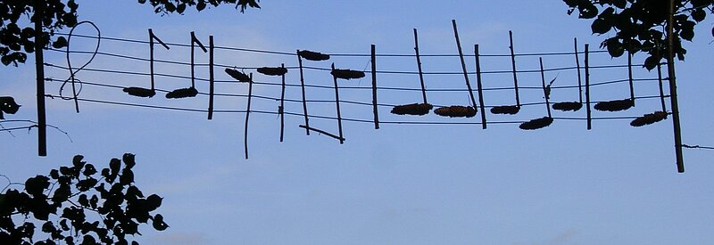 Orgel/Chorleitung/Bandleitung/Kinderchorleitung/Vorsänger-in